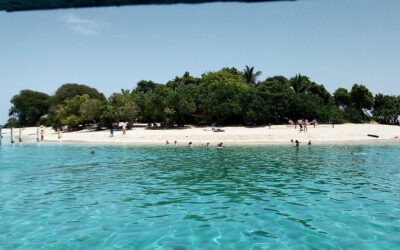 Amiga Island Cap Haitien